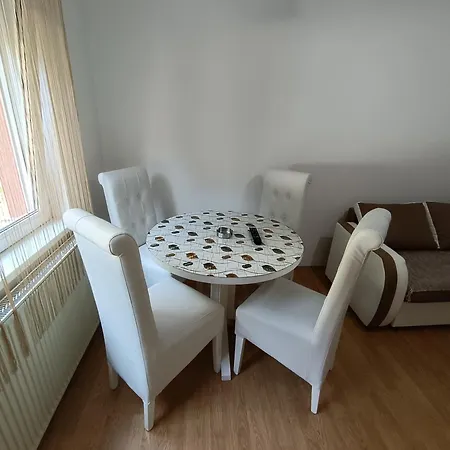 Trifunovic 2 Soko Banja