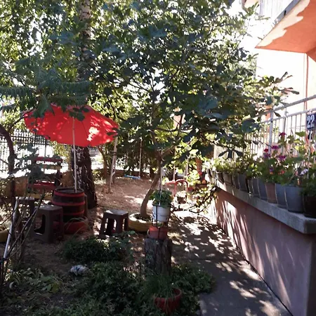 Apartment Trifunovic 2 *